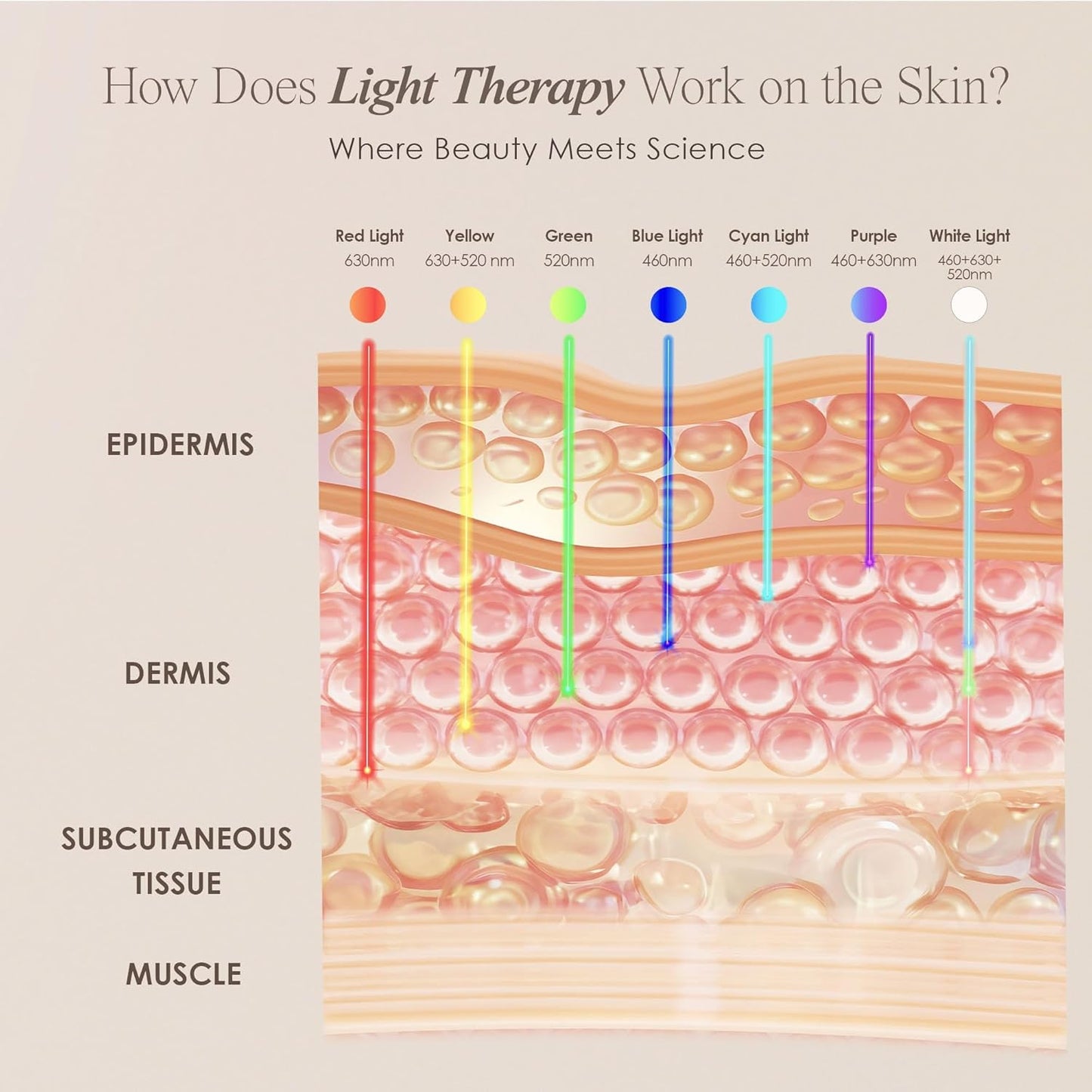Lightaura LED Light Therapy Mask | Anti-Aging Facial Skincare Routine | Skin Tightening | Calm Inflammation & Sensitive Skin | Reduce Wrinkle | Brightens Skin | Collagen Boost